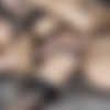 [OnlyFans] Jade Venus & Ricky Larkin 2022 [1080p] thumb