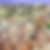 [WowPorn]Nancey - A Common Lover HD thumbnail
