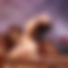[EroticBeauty.com] 2011 [Erotic, Solo, Posing][355  / 45508  / Mid-Res] thumb