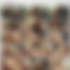 [Twistys.com] Jessie Rogers (Horny Little Student / 28.04.12) [2012 ., Natural Tits, Blonde, Blowjob, Cumshot, Teen, Hardcore] thumb