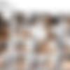 [sapphicerotica.com] Strapon Trio 3 [272p] thumb