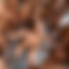 [Blacked.com] Lena Paul (Anything For Daddy / 21.11.18) [2018, All sex, Anal, Big Tits, DP, Gangbang, IR, Creampie, Facial] thumb