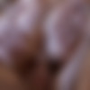 [PenthouseGold.com] Samantha Ryan - Sex After Dark 1 (17.06.2021) [2021 ., MILF, Gonzo, Hardcore, All Sex, 1080p] thumb