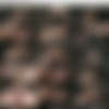 [sexuallybroken.com] All scenes from summer 2012 thumbnail