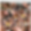 Fresh New Faces 1 [DVD9] (Platinum X Pictures, 2003) thumb