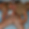 Sylse.com Complete Siterip [AI Enhanced] thumb