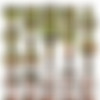 [EroBerlin.com] Pictures Partial SiteRip thumbnail