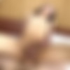[LadyboyGold] Pooh - Hung Femboy Cums 2X and Creampie [720p] thumb