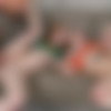 [DaughterSwap.com / TeamSkeet.com] Anna Claire Clouds & Scarlet Skies - Any Given Sunday (04.10.21) [2021 ., Blowjob, FFMM, Cowgirl, Cum In Mouth, Cum on Tits, Dirty Blonde, Doggystyle, Facial, Foursome, Hardcore, Missionary, Natural Tits, Pussy Licking, Reverse Cowgirl, Shaved Pussy, Small Tits, Step Dad, Step Daughter, Taboo, Tattoos, Teen, thong, Toned, White, Wild, 1080p] thumb
