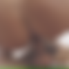 [RodneyMoore.com] Daneene - New Roommate thumbnail