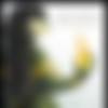 SexyFur Siterip thumbnail