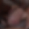 [BlacksOnBlondes.com / DogFartNetwork.com] Paisley Porter [2021, Gonzo Hardcore All Sex IR Gang Bang Anal DP 1080p] thumb