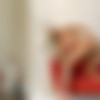 [LoneMilf.com / MYLF.com] Brittany Andrews - Stars and Stripes (10.08.20) [2020 ., Solo, Masturbation, 720p] thumbnail