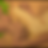 Zone-Archive SiteRip thumb