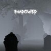 Shadowed Descent-TiNYiSO thumb