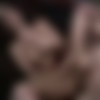 Betrayal /  (Bud Lee, VCA) [1997 ., All Sex, Anal, Facial, Girl-Girl, DVDRip] (Alexandra Silk, Asia Carrera, Missy, Joel Lawrence, Jonathan Morgan, Mickey G., Steve Hatcher) thumb