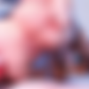[Chaturbate] Mollychan aka Mollyflwers 2021-01-26 Stream - 4 parts [720p] thumb