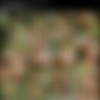 Veronica Da Souza (Denisa Keltnerova) Video Pack thumbnail