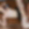 [InnocentHigh.com / TeamSkeet.com] Myra Moans (Glasford) - Wild Daydreaming / 04.08.23 [2023, Blowjob, Braids, Facial, Natural Tits, Redhead, Schoolgirl, Skinny, Small Ass, Small Tits, Teen, 1080p, SiteRip] thumb