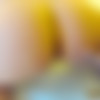 [manyvids][thelonestarangel.com] Interracial rough anal girl-girl thumbnail