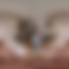 [XSinsVR.com / SinsVR] Daniela Ortiz - Curvy [2023-09-06, Babe, Big Tits, Blowjob, Brunette, Cowgirl, Cum in Mouth, Cumshots, Doggy Style, Fingering, Masturbation, Missionary, Natural Tits, Petite, POV, Reverse Cowgirl, Sitting, Standing, Tease, VR Sex, 7K, SideBySide, 3584p, SiteRip] [Oculus Rift / Vive] thumb