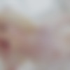 Sasha de Sade and Kai Bailey - TSPlayground (Dec. 19, 2017) thumb