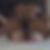 [BrothaLovers.com / InterracialSexx.com] Kate England (Kate England & Jonni Mamba) [10.03.2020, Interracial, IR, BBC, Hardcore, Blonde, Creampie, 2160p] thumbnail
