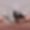 [VRSpy.com] Vanessa Marie - Landlord’s Deal [10.05.2024, Blowjob, Balls Licking, Brunette, Close Up, Cowgirl, Deepthroat, Doggy Style, European, Handjob, Kissing, Natural Tits, Pussy Licking, Reverse Cowgirl, Shaved, Small Tits, Virtual Reality, SideBySide, 8K, 4000p, SiteRip] [Rift / Quest 2 / Vive] thumb