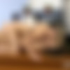 [VIPissy.com] Erika(aka Erika Eden), Eva Brown - Office Piss Exchange Part 2 [2024-03-19, Blonde, Brunette, Close Up, Lesbian, Masturbation, Pissing, Toys, Fingering, Belarusian girl, 2160p, SiteRip] thumb