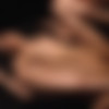 [Caribbeancom.com] Naughty Woman : Satomi Ishikawa [051323 001] [uncen] [2023 ., All Sex, Blowjob, Cunnilingus, Creampie, 1080p] thumb