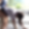 A Naughty Play Video Collection Featuring A Beautiful Girl In Outdoor Immoral Sex 2-Disc Set 8 Hours [IBW-781z] (I.b.works) [cen] [2020 ., Outdoors, Best, Omnibus, Beautiful Girl, 4HR+, Prank, HDRip] [720p] thumb
