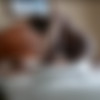 [theslutsnextdoor.com] Christie Wett & Big Max Creampie thumb
