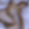 [WakeUpNFuck.com / WoodmanCastingX.com / PierreWoodman.com] Virginy Lovely (Wunf 328) [2021-02-14, 18yo, Teen, Blonde, All Sex, Hardcore, Gonzo, Anal, DP, Blowjob, Cumshot, Spank, Orgasm, Asslicking, Ass Gape, Rimjob, Rimming, Threesome, Pussy Licking, Pierre Woodman, 720p] thumb