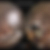 [StasyQVR / SexLikeReal.com] Lalli Pop - Dappled Desire [18.01.2024, Chestnut, Long Hair, Music, No Male, Shaved Pussy, Softcore, Solo Models, Striptease, SideBySide, Virtual Reality, SideBySide, 6K, 2900p, SiteRip] [Oculus Rift / Quest 2 / Vive] thumb