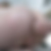 [TrueAnal.com] Rebel Rhyder - Rebel’S Glorious Gapes (18.03.2020) [2020 ., Anal, Teen, Exclusive, Pov, Big Dick, Gonzo, Hardcore, Natural Tits, Gaping, Blonde, Shaved Pussy, Blowjob, Swallow, 1080p] thumb