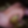 [OnlyFans.com ] Alina Lopez ( Private Room A Night Full Of Passion) [2023, Gonzo ,Hardcore, Blowjob, All Sex ,POV 1080p] thumb