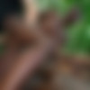 [PublicAgent.com / FakeHub.com] Zaawaadi - African Ebony Loves Big Cock (18.01.2021) [All Sex, Blowjob, POV, Ebony, 720p] thumb