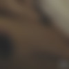 Briana Lee Megapack thumb