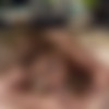 [BaDoinkVR.com] Bridgette B - Bridgette's B-Side [2019, 2D, Blowjob, Brunette, Doggystyle, Big Tits, Titty Fuck, Anal, Outdoor, Curvy, Black, MILF, Pornstar, Creampie, 1080p, UnknownRip] thumb