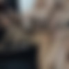 [puzzyfun.com] Josie Buster and July Buster (Yeah, Josie and July back in their cock paradise) [2021-12-31, Gangbang, Older Man Younger Woman, Orgy] [720p] thumb