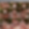 [MassageRooms] Dec 29, 2016 - Daphne Angel and Nikita Ricci - 1080p MP4 thumb