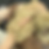 [diamondlouxxx.com] Lila Lovely vs Diamond Lou thumbnail