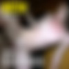 [MidwestFreaks.com] - MWF #300-366 - MegaPack [May 24 - December 29, 2019] [720p] thumb