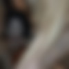[puzzyfun.com] Mini Hotcore (Mini Hotcore, so small and so a big horny slut) [2020-09-10, Fucking, Older Man Younger Woman, Orgy] [720p] thumb