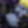 Zone-Archive SiteRip thumb