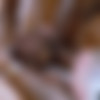 Teanna Trump, Vicki Chase, and Adriana Chechik - Blacked 11.25.19 HEVC 1080p thumb