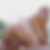 [BangbrosClips.com / BangBros.com] Angie Lynx - Anal Barter (bbc19320) (2023-07-21) [2023, Anal, Ass To Mouth, Big Tits, Bikini, Blonde, Blowjob, Couples Fantasies, Cowgirl, Cum Swallow, Deep Throat, Doggystyle, Face Fuck, Facial, Gagging, Oil, Outdoor, Pool, Reverse Cowgirl, Rimjob, Side Fuck, Spanking, Tattoo, Wet, Work Fantasies, 1080p, SiteRip] thumb
