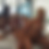 [OnlyFans.com ]Isabelle Deltore & Fit Kitty & Kayla East ( Aussie Reverse Orgy ) [2023, Gonzo, Hardcore, All Sex,Straight , Orgy 1080p] thumb