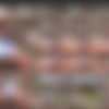 Sneakypee Jan-Feb 2018 thumbnail
