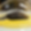 [NakedNews.com] 2020.06.19 [1080p] thumb